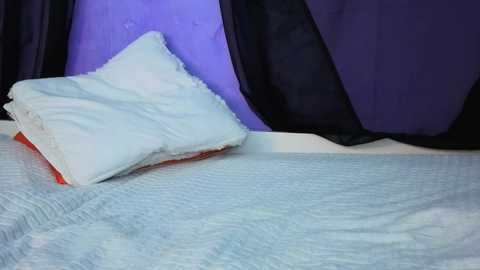 Video of a neatly made bed with a light blue quilt, a white pillow, and a red pillow peeking out, against a backdrop of purple and black curtains.