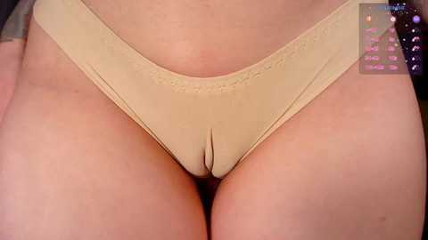 A close-up video of a light-skinned woman's lower torso, showing her beige underwear and labia, with a blurred background.