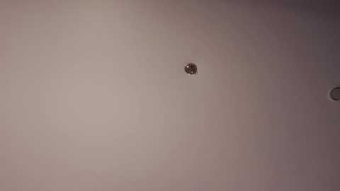 braxiboy free recording from 2026-01-10 00:43:00