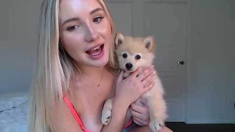Video of a smiling young woman with long blonde hair, wearing a pink bra, holding a fluffy white and tan Chihuahua puppy. Background shows a white door and a bed with white sheets.