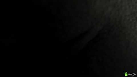 A dark, grainy video with a blurry, indistinct figure in the foreground, possibly a person, set against a shadowy background, creating a mysterious and slightly ominous atmosphere.