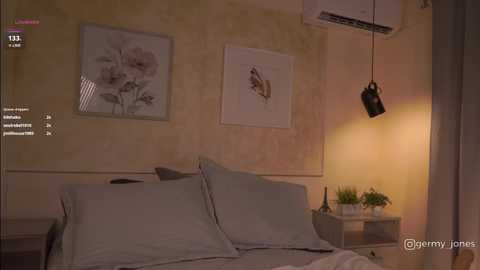 A video of a cozy bedroom with a bed, floral artwork, an air conditioner, a lamp, and a small plant on a nightstand.