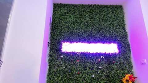 Video of a vibrant, rectangular green artificial grass wall with a glowing, rectangular white LED light in the center. The background is a smooth, white wall with a purple hue. Small, colorful flowers are scattered on the grass.