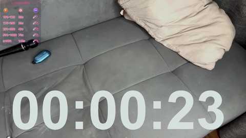 A video of a gray leather sofa with a beige pillow, a blue remote control, and a pink pillow, with text \"00:00:23\" overlaid, suggesting a time lapse.