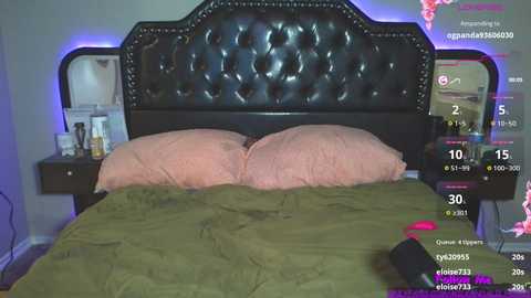Video of a dimly-lit bedroom with a plush, green bedspread, two pink pillows, and a tufted black leather headboard. Streaming video overlay shows viewers watching the scene.
