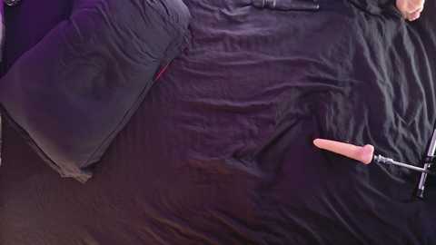 A video showing a black bedspread with a pink dildo and a black cushion on the left. The background includes a glimpse of a person's hand holding a black object.