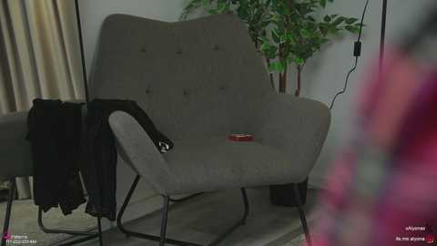 Video of a modern, gray upholstered armchair with black metal legs, placed in a minimalistic living room with a potted plant, beige curtains, and a partially visible person in the foreground.