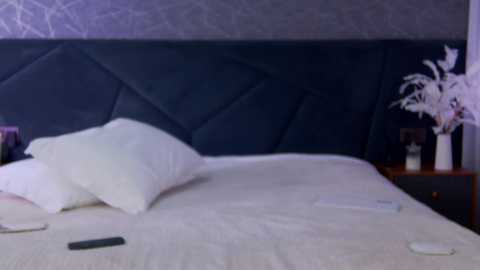 angelees_ free recording from 2026-01-11 00:08:00