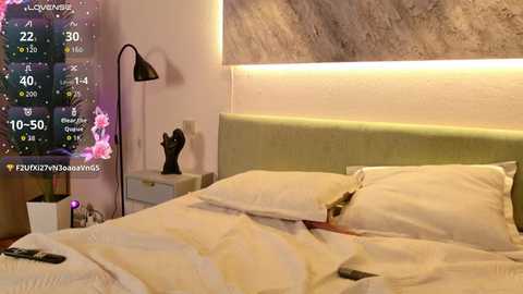 aurora_radiance free recording from 2026-01-11 00:08:00