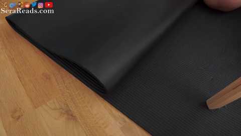 serareads free recording from 2026-01-11 00:08:00