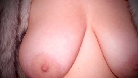A close-up video of a large, light-skinned woman's breasts, showing natural texture, with nipples visible, partially covered by a soft, fluffy white fabric.