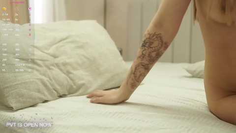 angel_luisa free recording from 2026-01-12 00:24:00