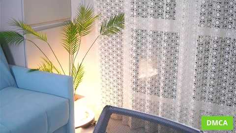 bombaleila free recording from 2026-01-12 02:38:00