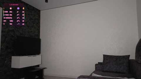 Media: A dimly lit, minimalist living room with a black TV on a white stand, a dark sofa, and a large, blank white wall. A digital display with text and symbols is mounted on the wall.