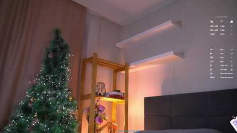 oke_doke free recording from 2026-01-12 02:38:00