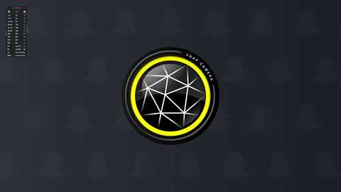 Video of a black, glossy car emblem with a geometric, black and white design inside a bright yellow border. The emblem is set against a dark, textured background.