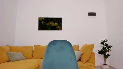 _arry free recording from 2026-01-13 00:03:00