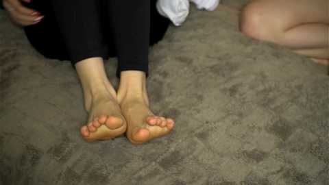 gerridae free recording from 2026-01-13 01:18:00