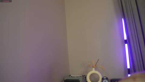Video of a corner room with beige walls, a white lamp, and a colorful paper fan on a shelf. A fluorescent light fixture emits a blue glow, casting a soft purple hue on the wall.