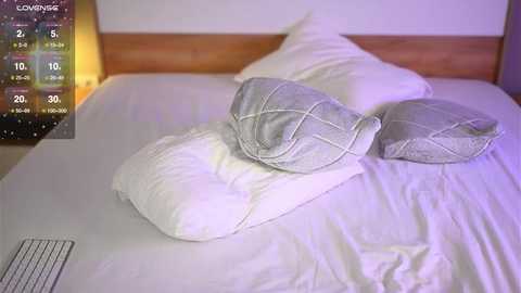 petalpage free recording from 2026-01-13 00:24:00