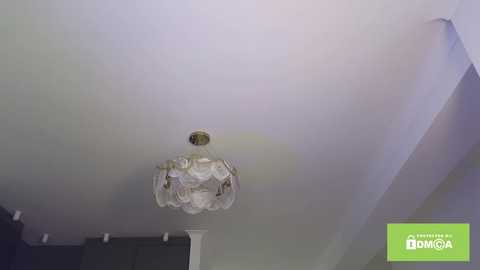 phantom_wave free recording from 2026-01-13 00:31:00