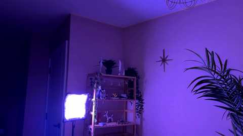 vixenp free recording from 2026-01-13 01:18:00