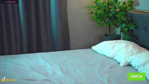 bellacle free recording from 2026-01-14 00:00:00