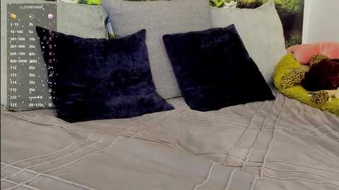 Media: Video of a bed with a beige quilted comforter and two plush pillows: a dark navy velvet and a light grey. The background shows a colorful cushion with a leopard print and a green pillow.