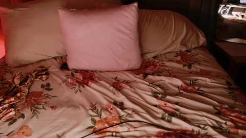 kaileeshy free recording from 2026-01-14 00:03:00