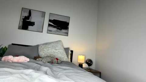 Media: Video of a minimalist bedroom with white walls and gray bedding. Two black and white abstract paintings hang above the bed, a plush pillow, and a beige lamp on a nightstand.