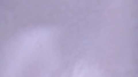 _lyna free recording from 2026-01-15 00:18:00