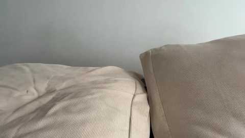 Video of a beige couch with a cushioned armrest, against a light gray wall. The fabric appears smooth and slightly wrinkled, with a subtle texture. The scene is minimalistic and cozy, emphasizing simplicity and comfort.