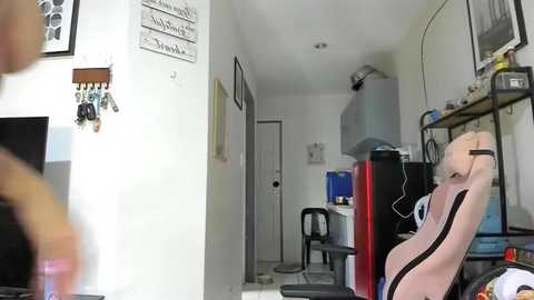 xdreamangel free recording from 2026-01-15 00:18:00