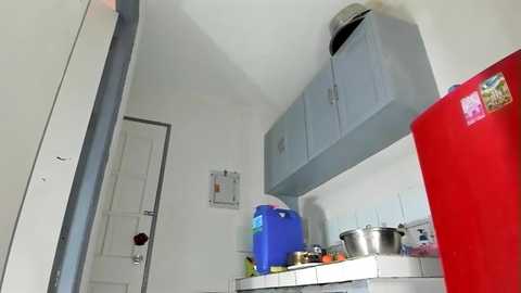 xdreamangel free recording from 2026-01-15 00:25:00