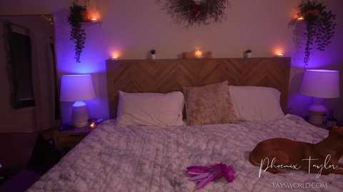 phoenix_taylor free recording from 2026-01-16 02:33:00