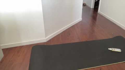 shysashy free recording from 2026-01-16 02:33:00