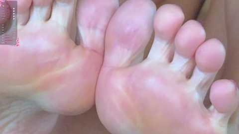 eva_ra free recording from 2026-01-17 00:12:00