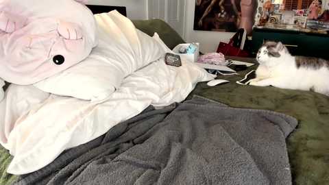 eve003300 free recording from 2026-01-17 00:44:00