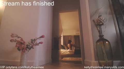 kellytheaimee_ free recording from 2026-01-18 00:09:00