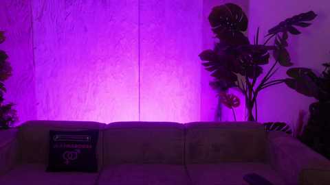 kira0541 free recording from 2026-01-17 00:12:00