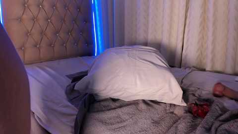 maddyluxe free recording from 2026-01-17 00:44:00