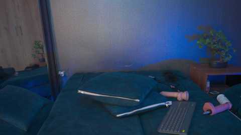 Video of a dimly lit, cramped room with two dark green beds, one with a laptop, a pink vibrator, and a stuffed animal. The walls are beige with blue lighting.