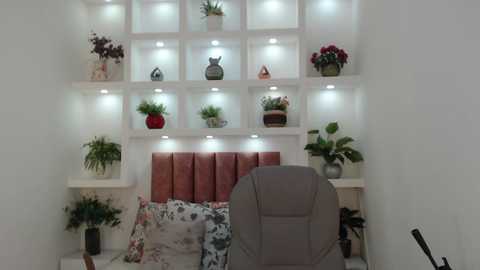 Video of a minimalist, modern room with white shelves holding plants and decorative items. A plush, grey chair faces a tufted, pinkish-red headboard adorned with floral pillows.