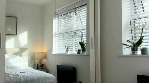 Video of a minimalist, modern bedroom with white walls, a bed with white linens, a black armchair, and two windows with white blinds and potted orchids.