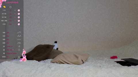 serenahall_ free recording from 2026-01-17 00:12:00