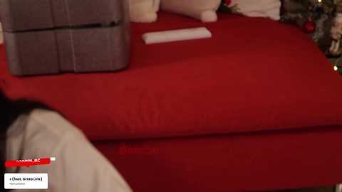 taanni_bc free recording from 2026-01-17 00:12:00