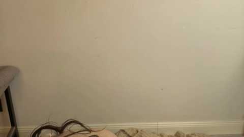 Video of a beige wall with a faint, irregular stain. In the foreground, a beige blanket with a dark pattern lies on a light-colored floor. A metal chair leg is visible on the left side.