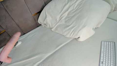 evalims free recording from 2026-01-18 00:44:00