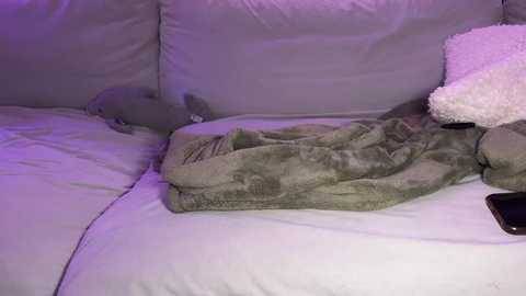 graciemae_baexx free recording from 2026-01-19 00:26:00