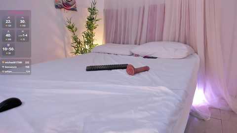 liia_sweett free recording from 2026-01-20 00:14:00